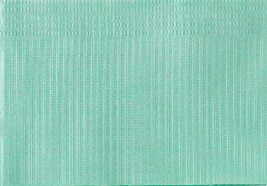 brochure lanús page5 image10
